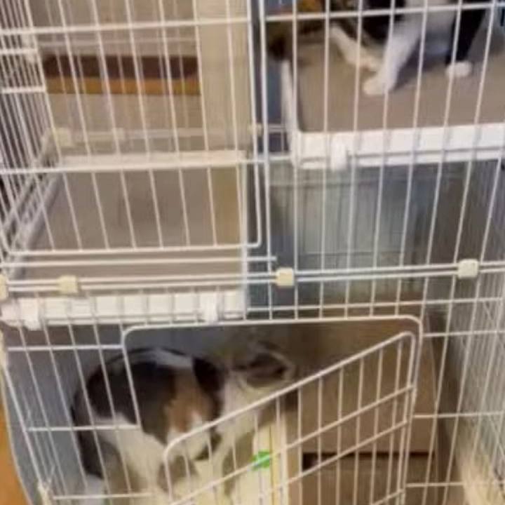 5d048dcc a972 4fde a547 7b5e457c26aa 1718534704030