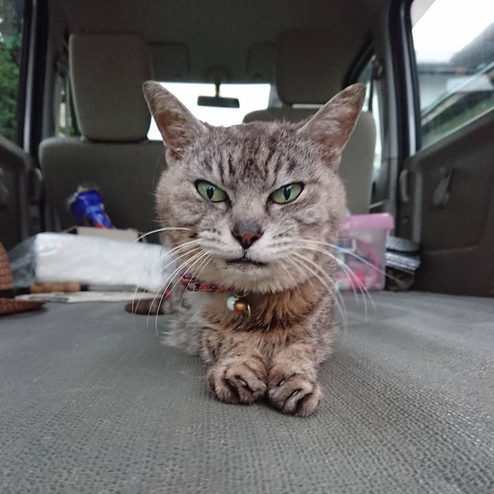 5d04b974 9c87 4b61 8fea 9b58abd04808 1594288389929