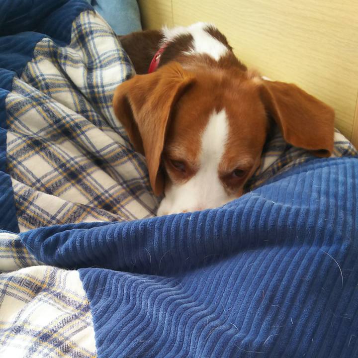 5d04d0fa 6b38 47c1 ab0d 8246701cd26f 1640916852068