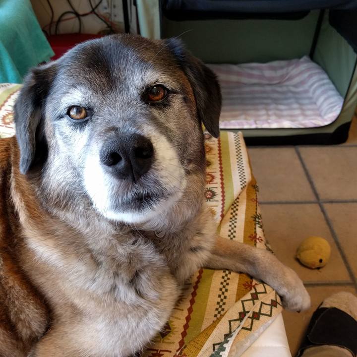 5d04ded3 4887 404f b92d 2b701b0739f4 1524104956493