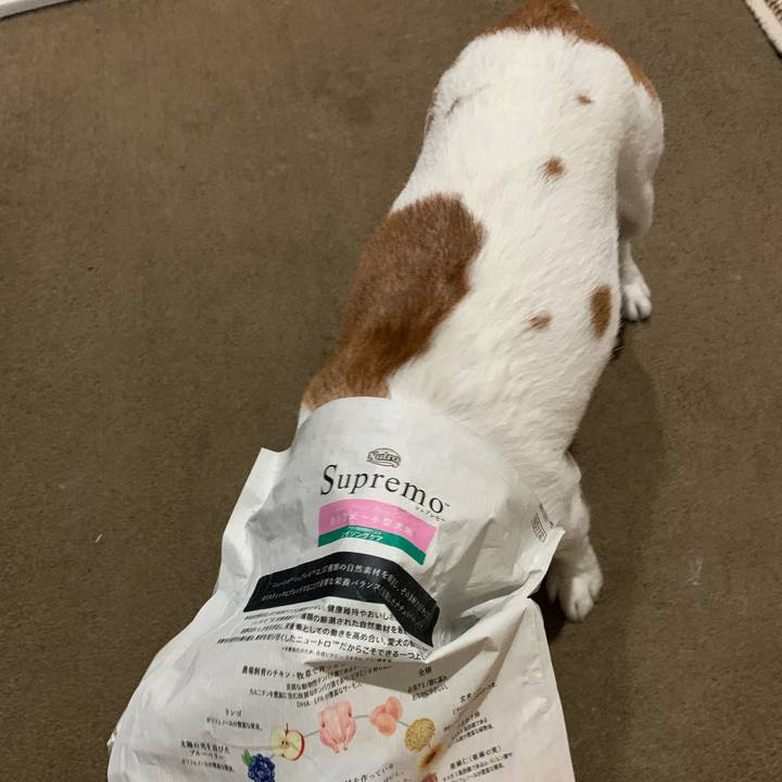 5d04fb1c 6d86 4e3a a15f dfe8ed20fe0c 1585194529450