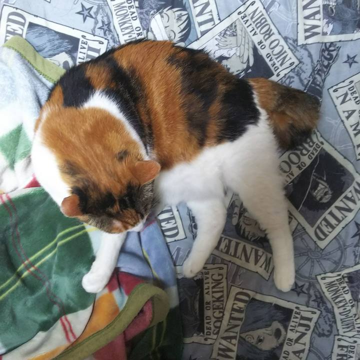 5d052d0a 871d 447e 90a5 3f3c2278d950 1526651857944