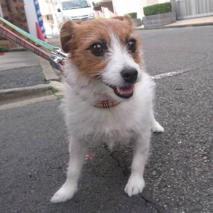 5d05353e 23d4 47a3 b86b c05fbd20466f 1542380901297