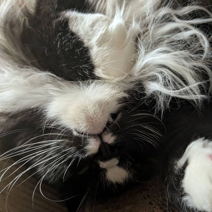 5d05b6b7 a670 4fbb 92a1 9d6e640b2d17 1731979191190