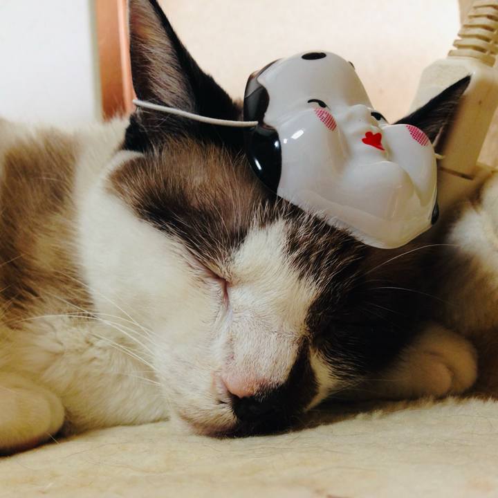 5d05b9cc e622 4415 8be6 7c7b6824bc94 1737420280463