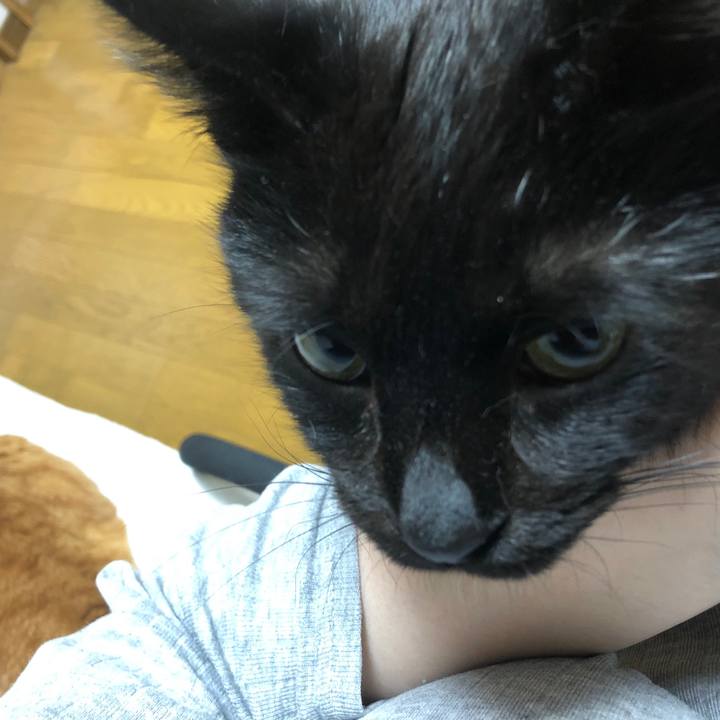 5d05edcb e02a 419a 9d37 ded278e5865d 1588257625866