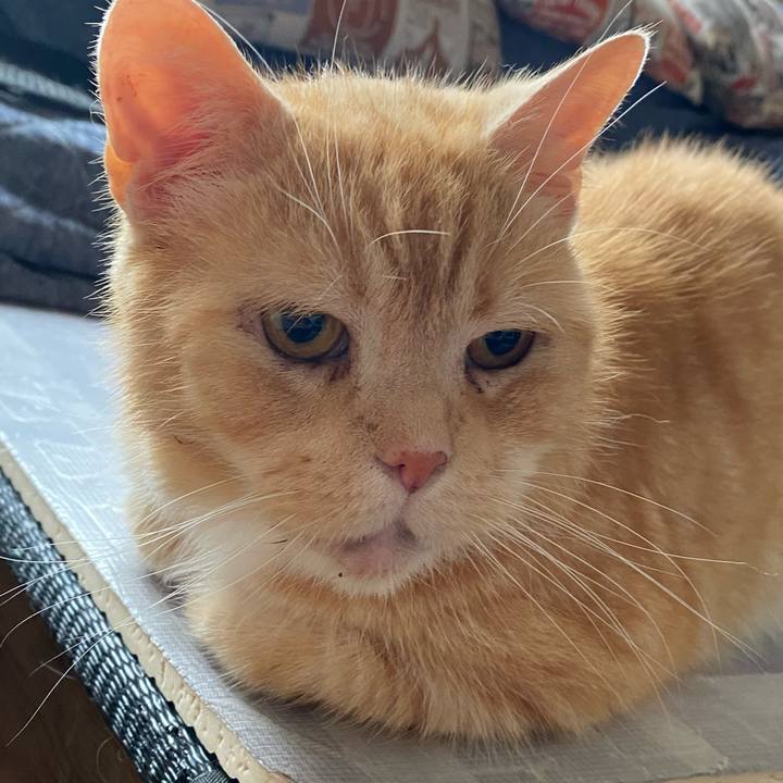 5d062990 41cf 43ef 870d 22246a9650d1 1621317505721