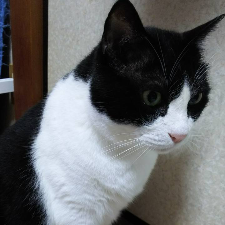 5d06366a 3cbf 454e 99e3 ddb5ec380a31 1538084623367