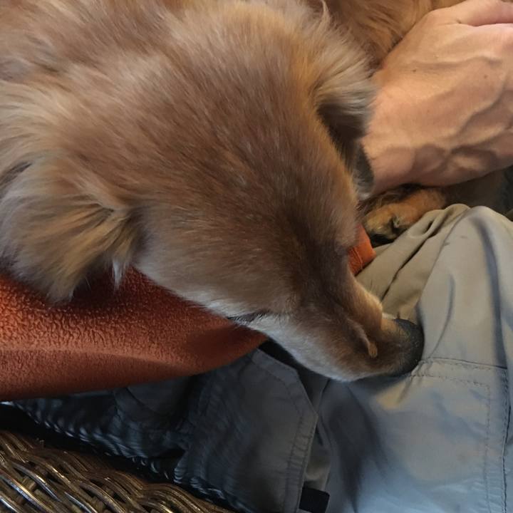 5d0639ee d835 4e2f a48a 4d1f9821e452 1612094338769