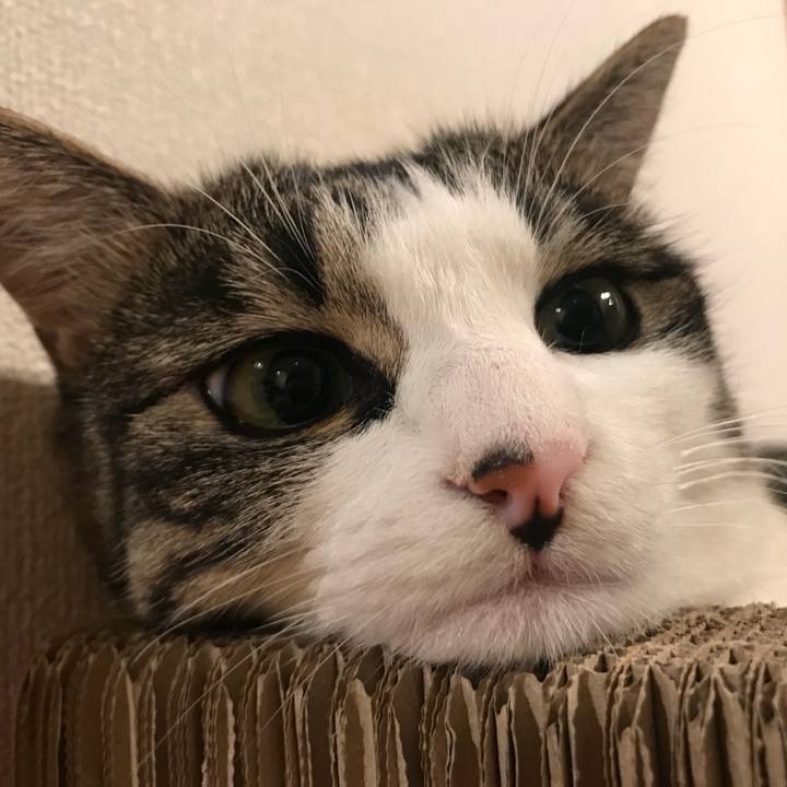 5d0641bf 9eef 446f b212 7bca9da50858 1535891305042