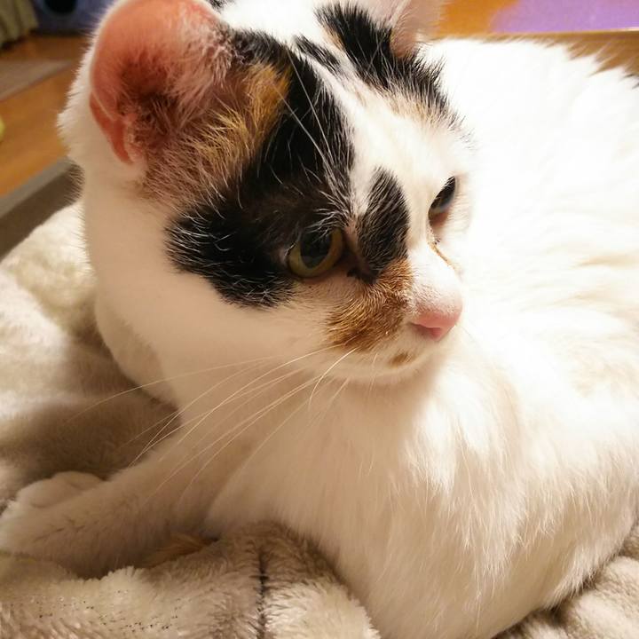 5d064eb1 db25 4f78 9830 e9afe6a250b8 1570877257054