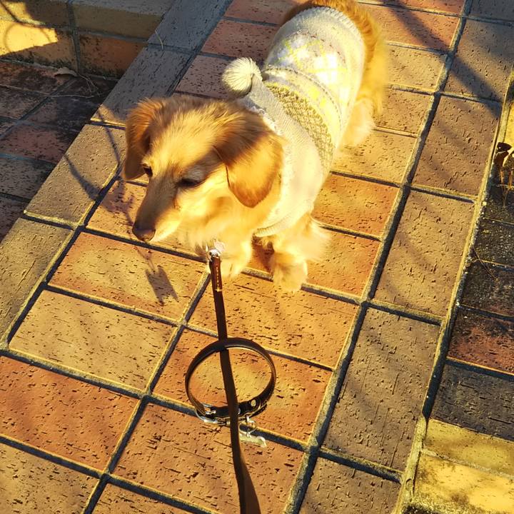 5d06696f c7d2 4133 9278 ec97fb108ae6 1577835074444