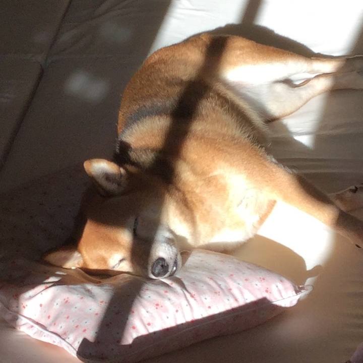 5d0683a3 9bba 455b a457 64578b4e5e5c 1573536451490