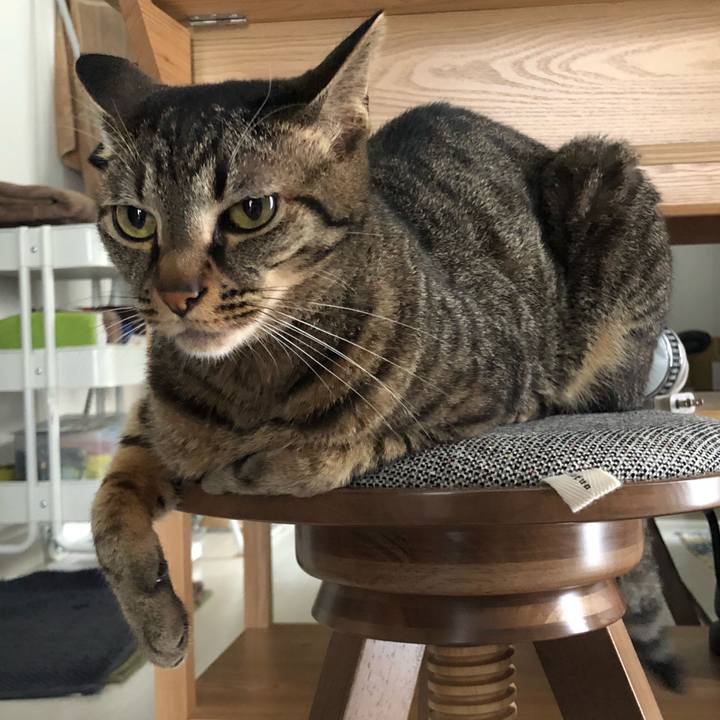 5d06a868 2f76 468f 92a1 55409616b6ef 1532577134607