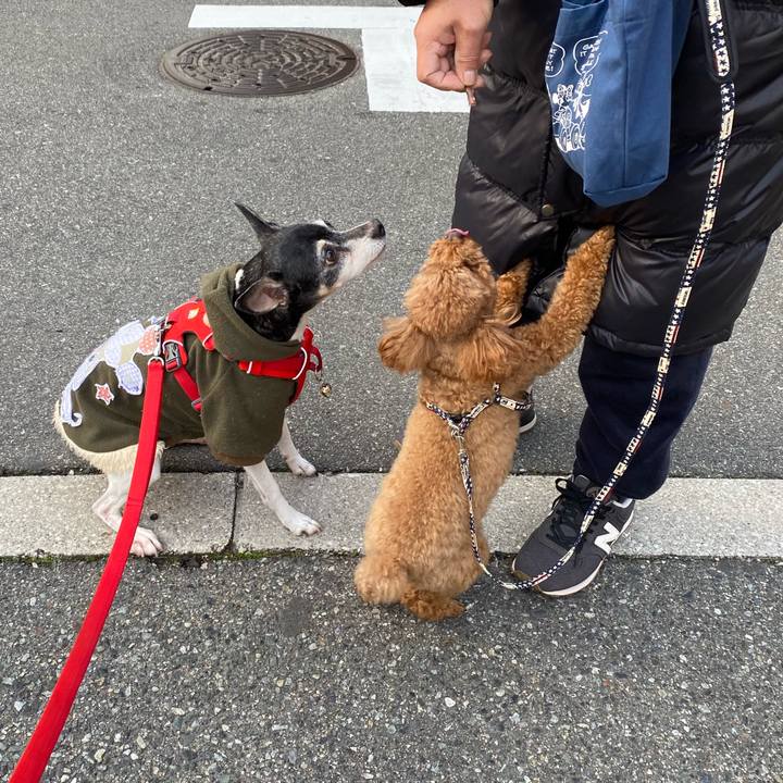 5d06c3a2 9a61 46e2 802e 7f97bf0693b4 1612661628113