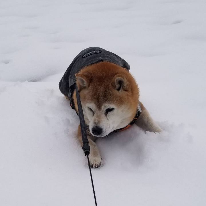 5d06d142 aedc 4316 9f9f 10fd2f2899b3 1733898181493