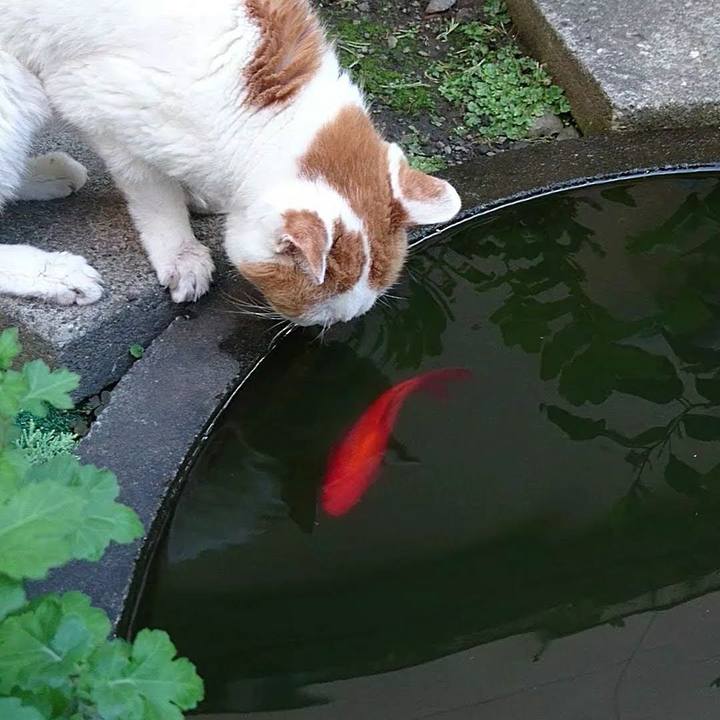 5d07084b ffe0 4614 8322 4d904d315614 1663852849523