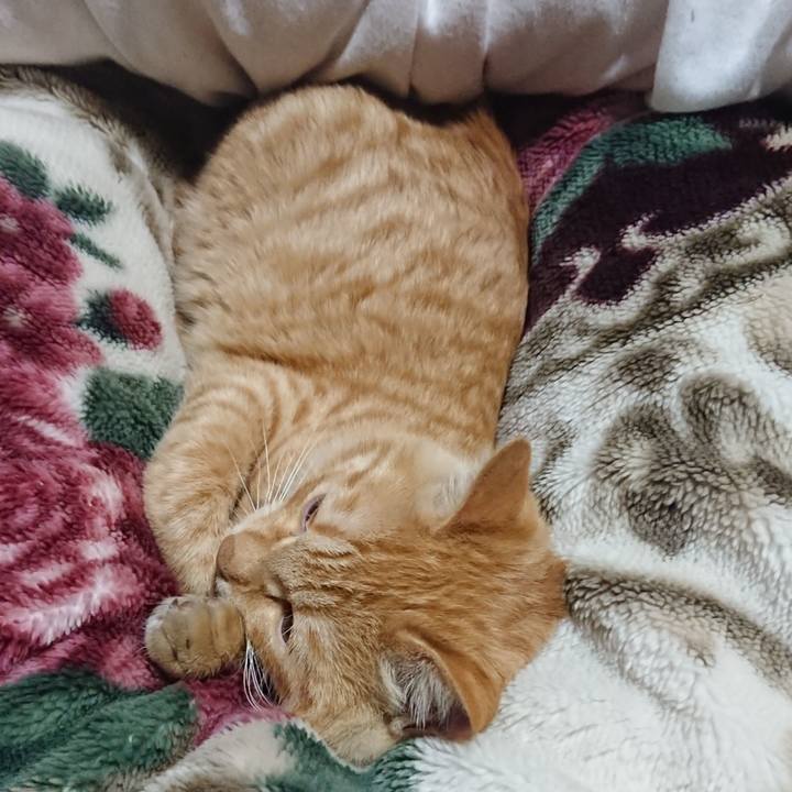 5d074fa3 39ad 4e14 9008 8587c71c36b9 1637325714644