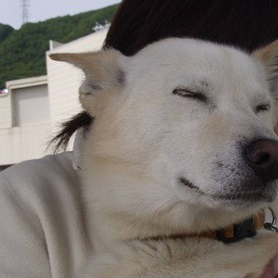 5d07582c a249 4d65 96e6 23506196152f 1528879676053