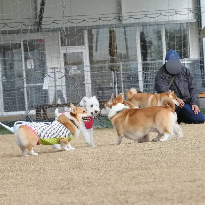 5d075eb6 6ed4 4a39 a151 99bc8b6ca25a 1606125723727