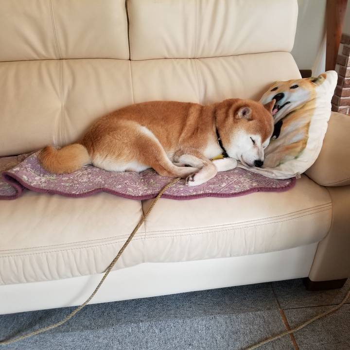 5d077227 02e1 4b4b 85f4 71101a0e1522 1625880110734