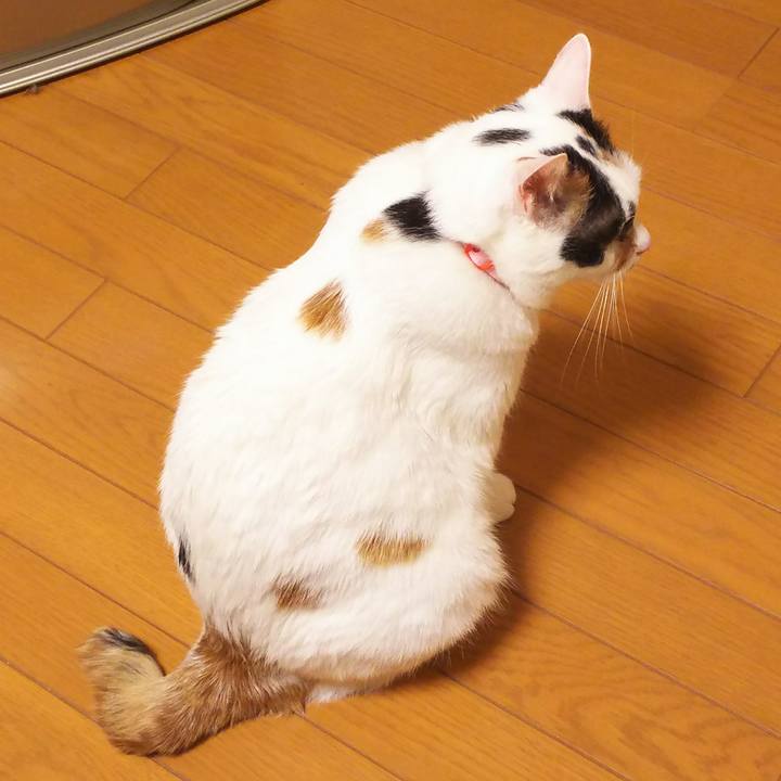 5d079e23 c563 4b0f 893a c09837901682 1517584006937