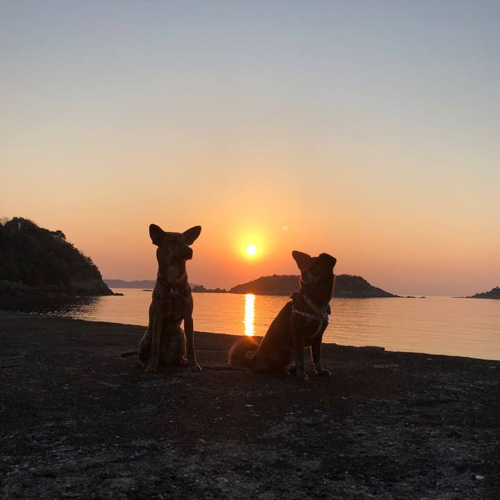 5d07cc9b 47e8 44ff b0f6 f0279080ed1d 1585145086880