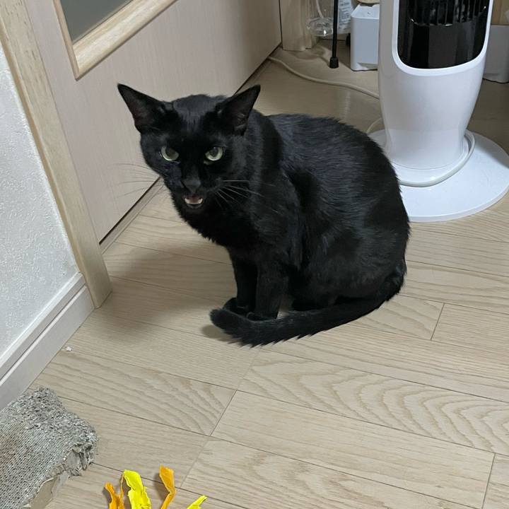 5d07d50f 71ad 4d50 b919 d003db4e1d1f 1724331479533