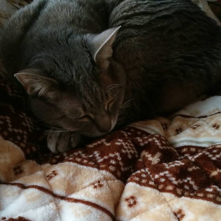 5d07dc06 0edf 4e95 abfa f86e9e607cb6 1577141972085