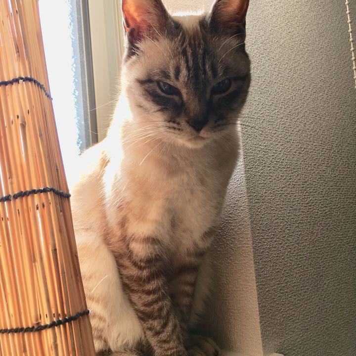 5d08038f 90b3 4d19 ad35 41f045d981f1 1587798290070