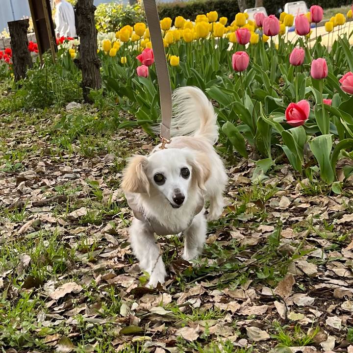 5d0840c3 549c 46ec 8d08 a26e58dd2280 1744276240398