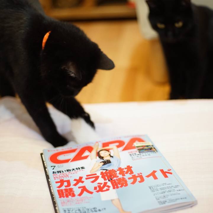 5d084ba9 00bf 4d6e ae6c e903d99f7b46 1530887979763