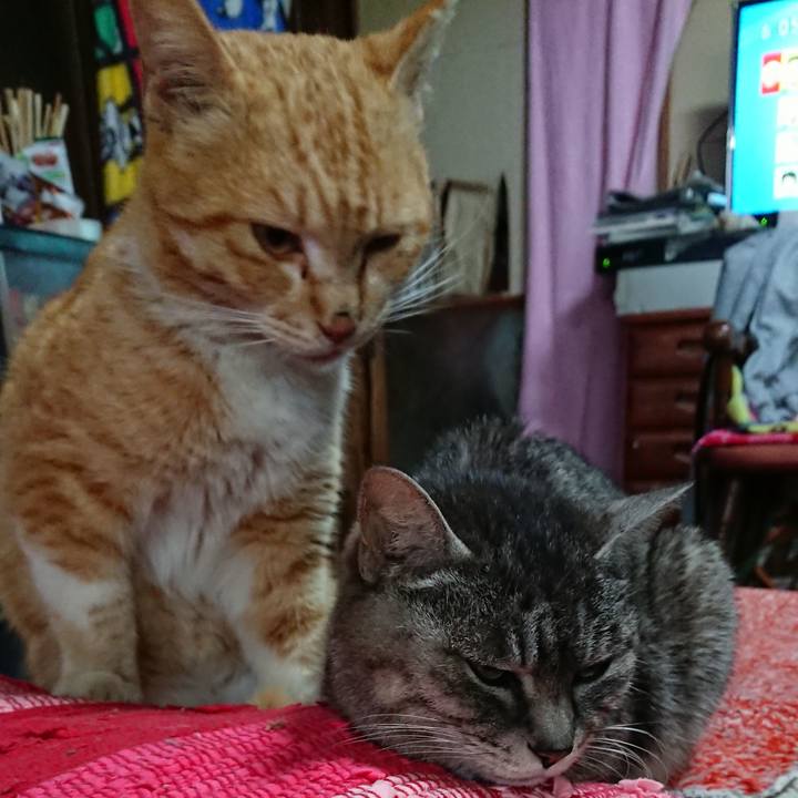 5d085f86 30a8 47da 98c1 c8902ac73d38 1554671526326