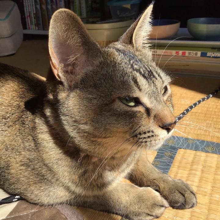 5d08e1f7 ff1f 4005 89ea 3673d4c8ab13 1586843644178