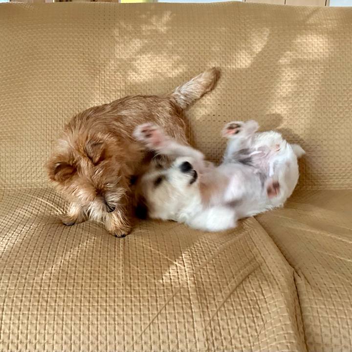 5d08e28c 8412 4f51 ac52 224aa4845fe4 1721959068822