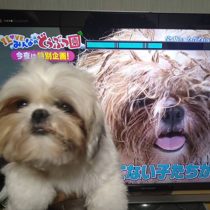 5d08ebe0 9e76 4fd3 a19e df0158ea680d 1644592409188