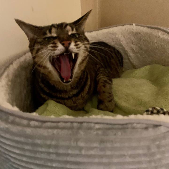 5d0900d7 96c8 4405 b5a8 a4b331d68901 1647850057798