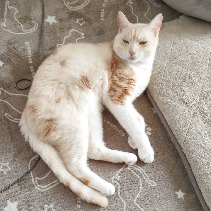 5d091985 4ae9 4029 b1dd e8d126f7a33a 1679450221378