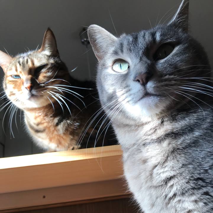 5d092817 ff89 46d7 a6f6 e02e689f87ca 1517306173661