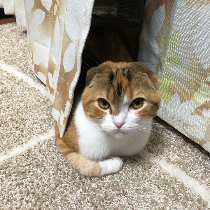 5d096c23 aaa9 4d69 854a 043367f78051 1520594414375