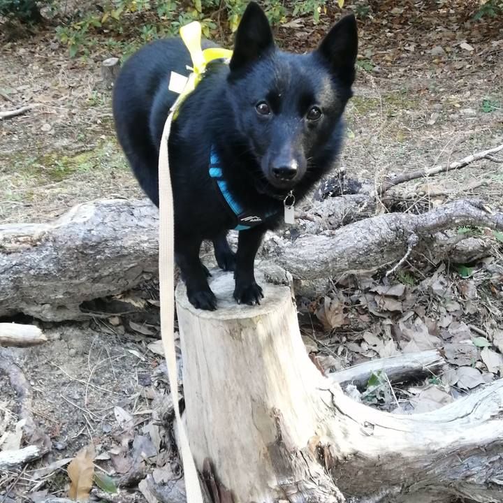 5d0974ca 794f 4062 9ea5 f7314aa486ba 1641084781420