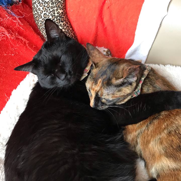 5d09ac2e aaf5 42b5 814d e4926cb4a024 1641693409602