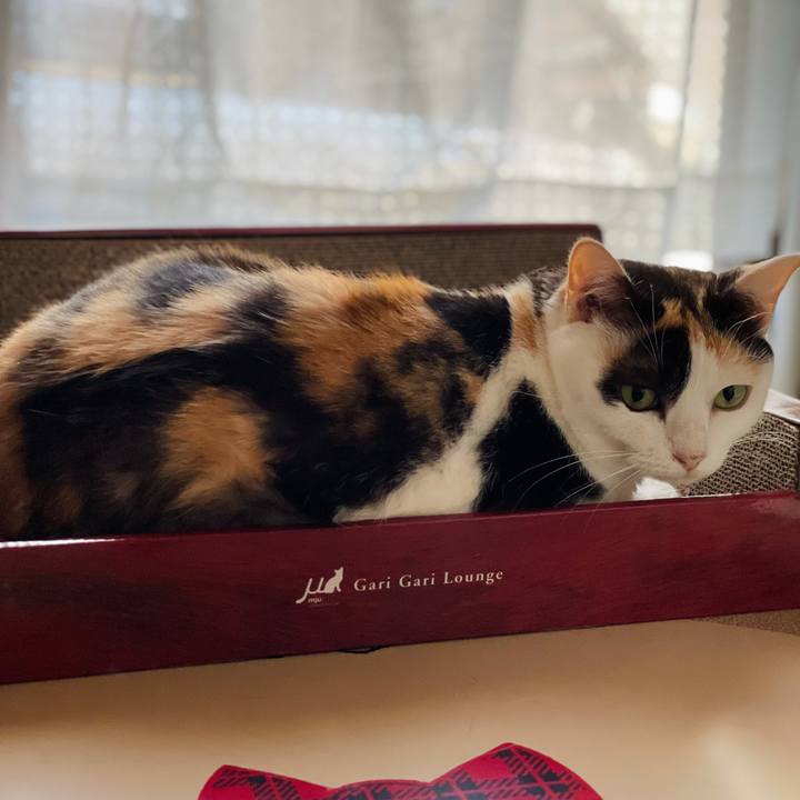 5d09cca5 cf36 42ea bfc7 28b17424d333 1628736896608