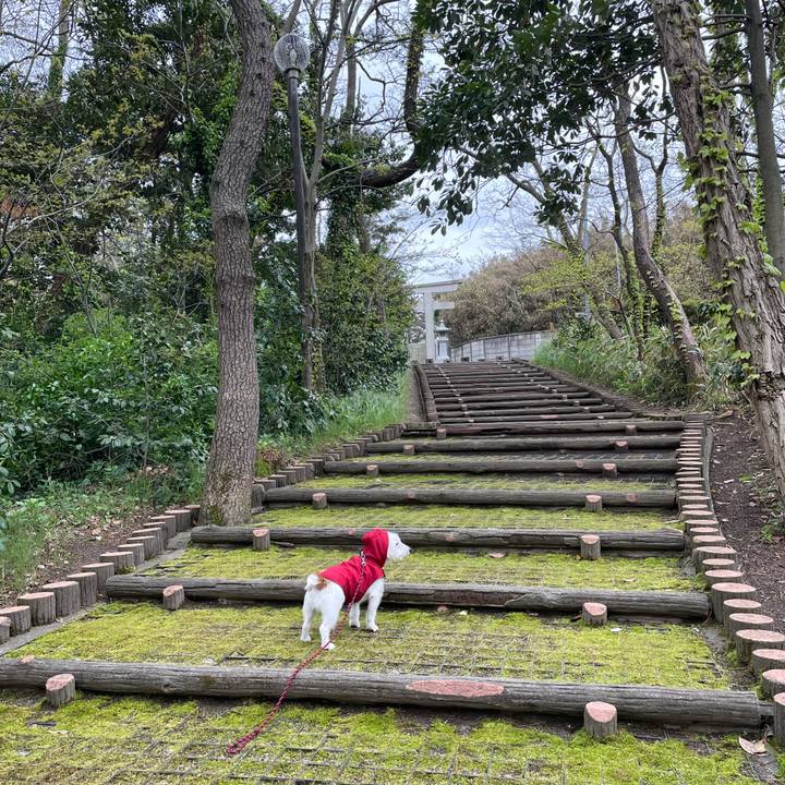 5d09e361 48d2 4618 be1b edfcb3bf4ebf 1619999578196