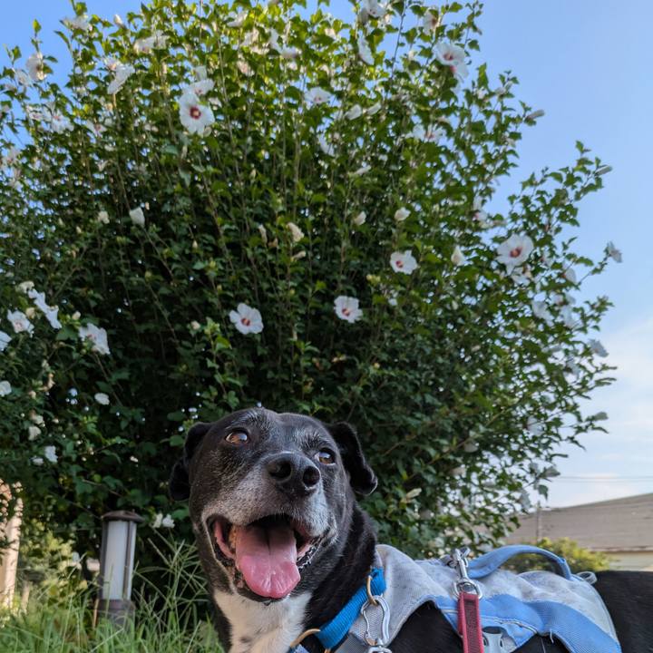 5d09f0fb 729a 4206 82ee 54ebe2b6123d 1755646806768