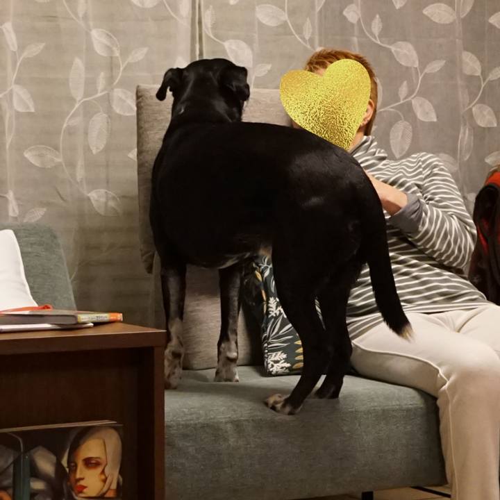 5d09fa22 2a9d 460d 8a1d e5554310fe1f 1771326763707