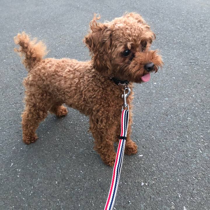 5d0a3599 f560 4734 b3ea 21944f855d46 1528366368310