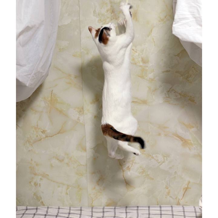 5d0a47ec 4dd3 40de 8452 f48f3c76098b 1564361262242