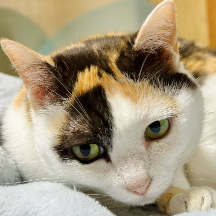 5d0a4836 795d 4a0a 9b6d 9744c3ffefeb 1714784990700