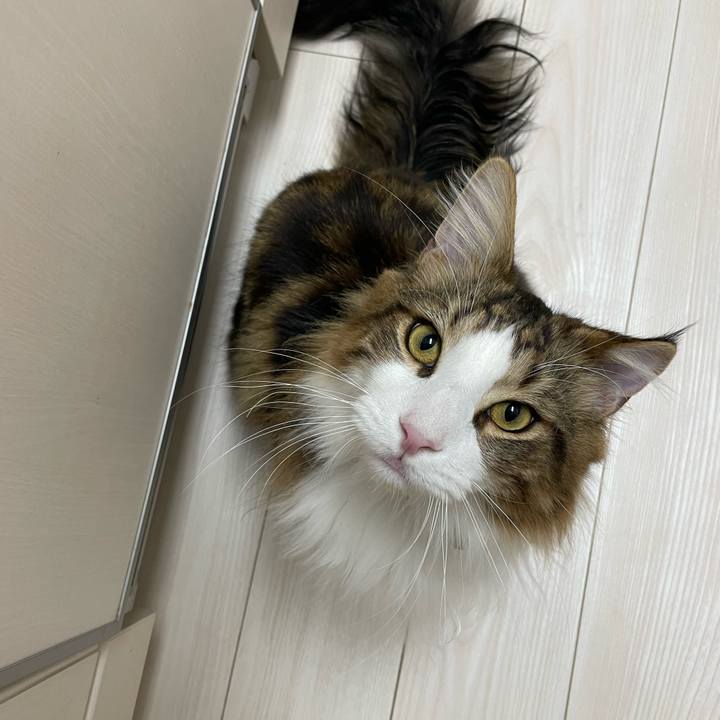 5d0a48da 09d6 4385 a9f5 72e2653530ef 1652040379974